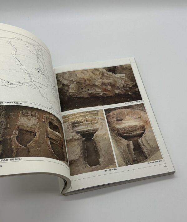 定窯 優雅なる白の世界