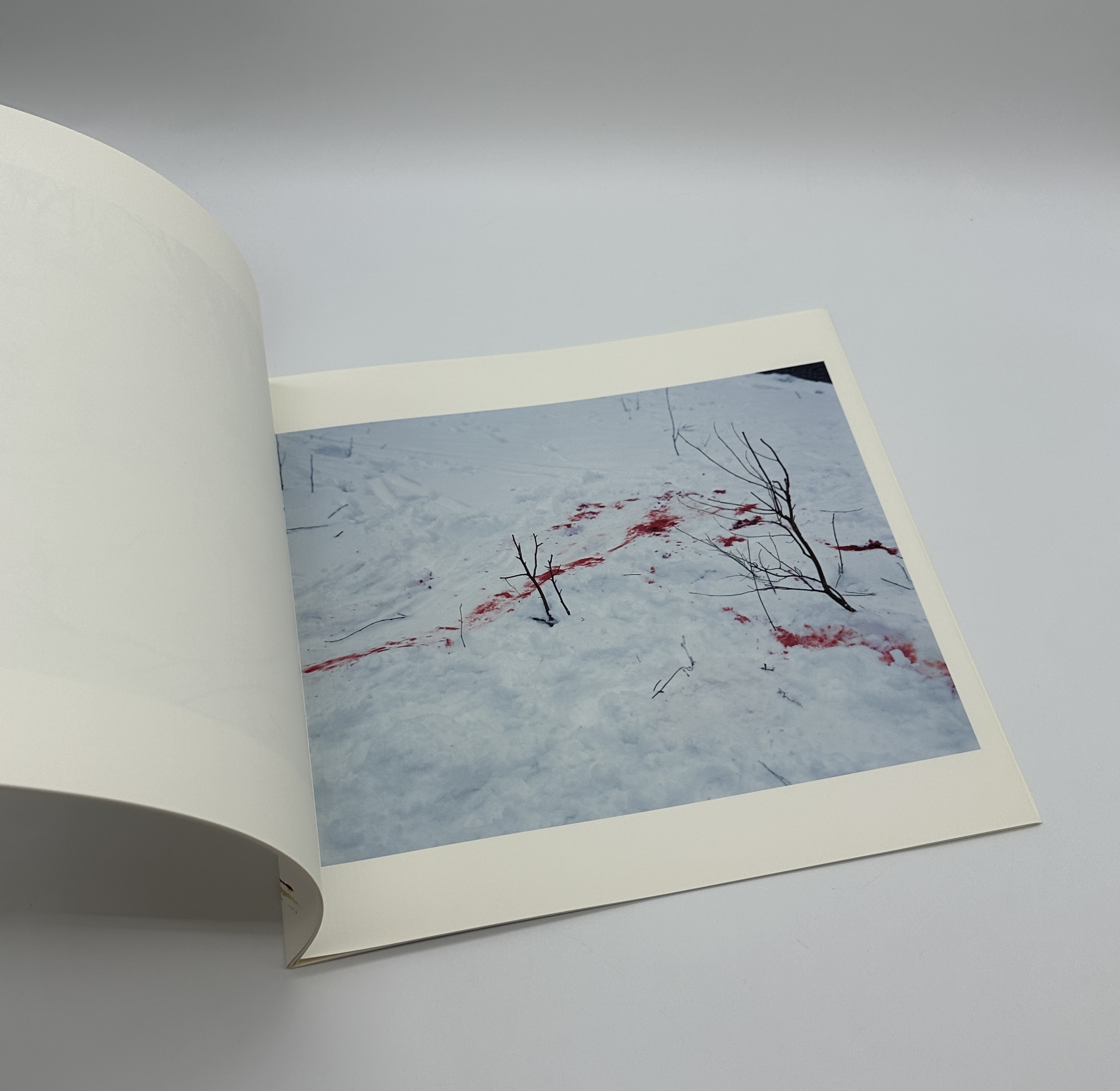 『署名入』TRAILS　特装版 - 画像 (5)