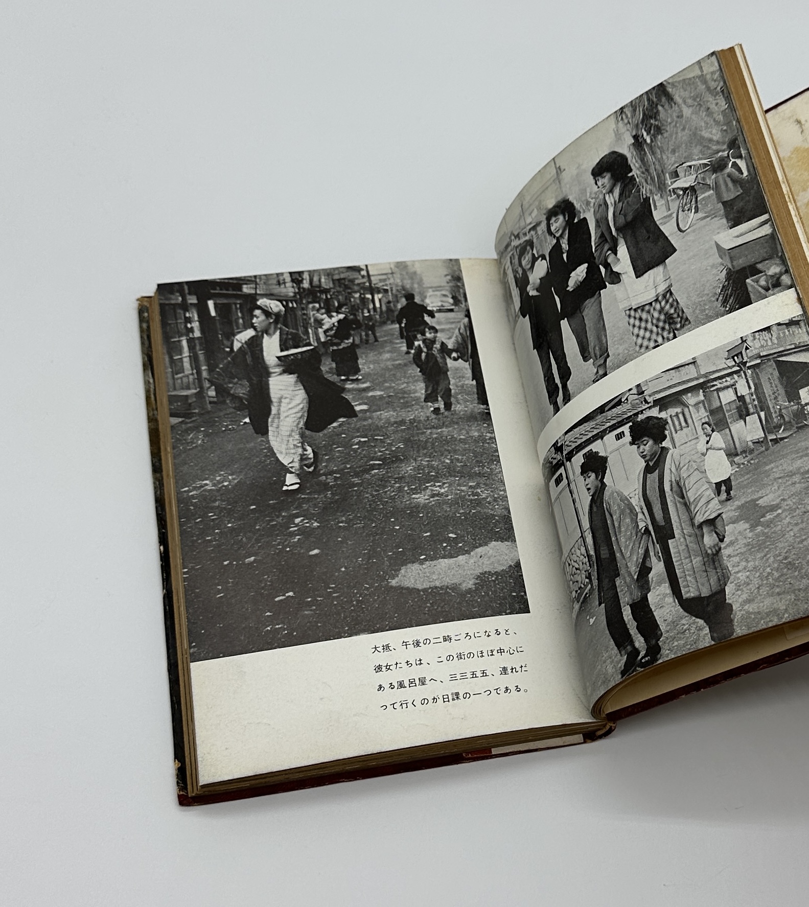 危険な毒花 - 画像 (6)