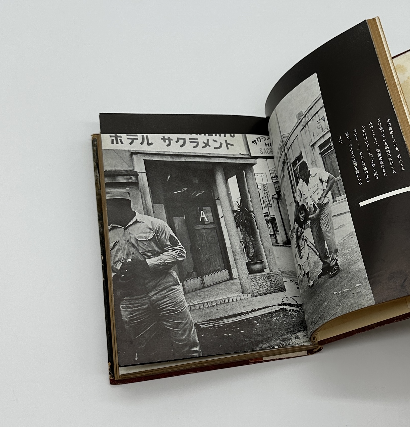 危険な毒花 - 画像 (5)