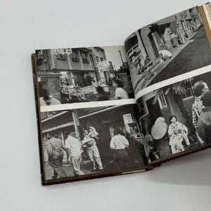 危険な毒花 - 画像 (3)