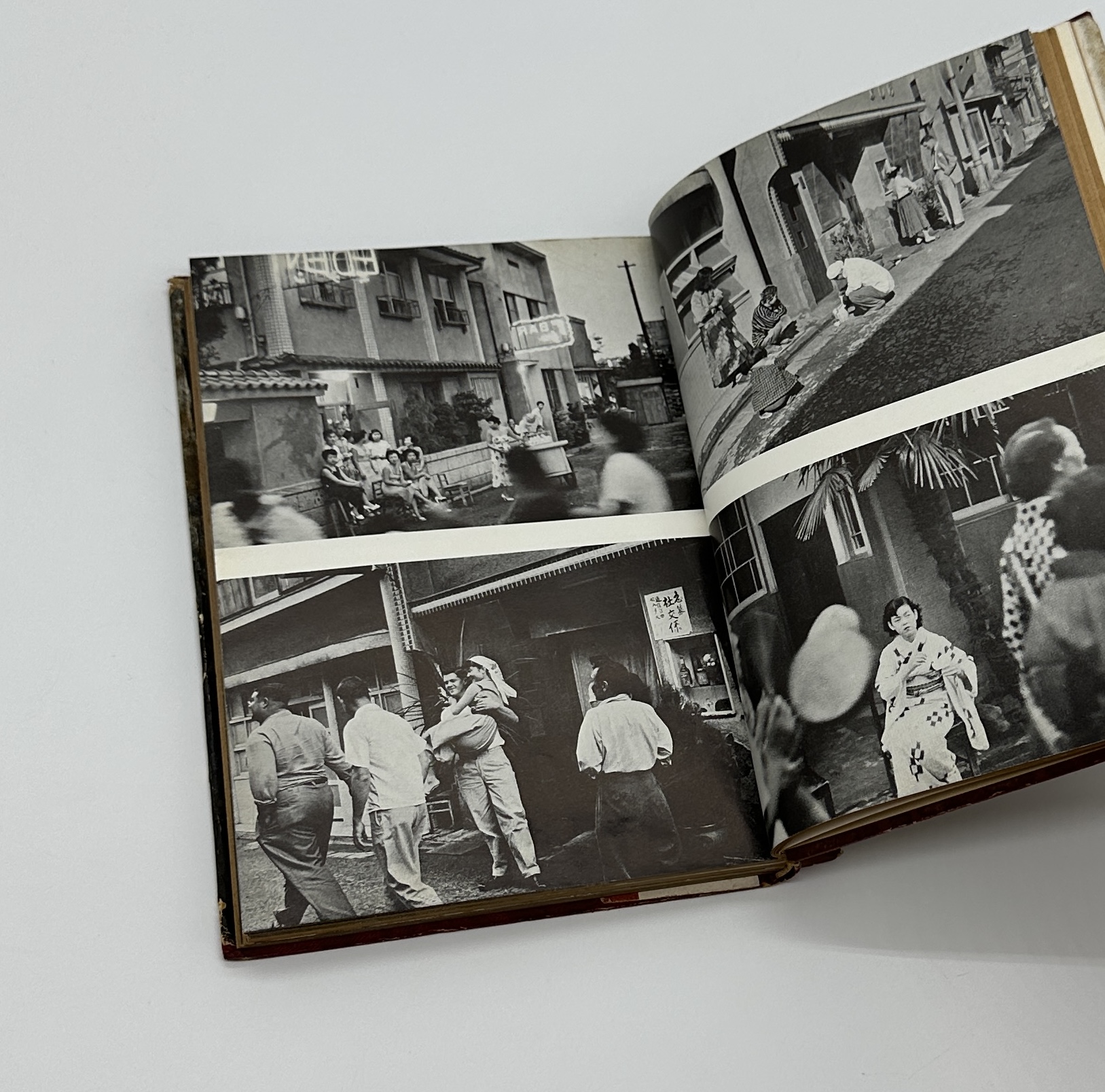 危険な毒花 - 画像 (3)