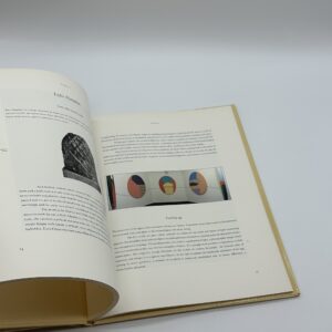 ENFLESHINGS - 画像 (5)