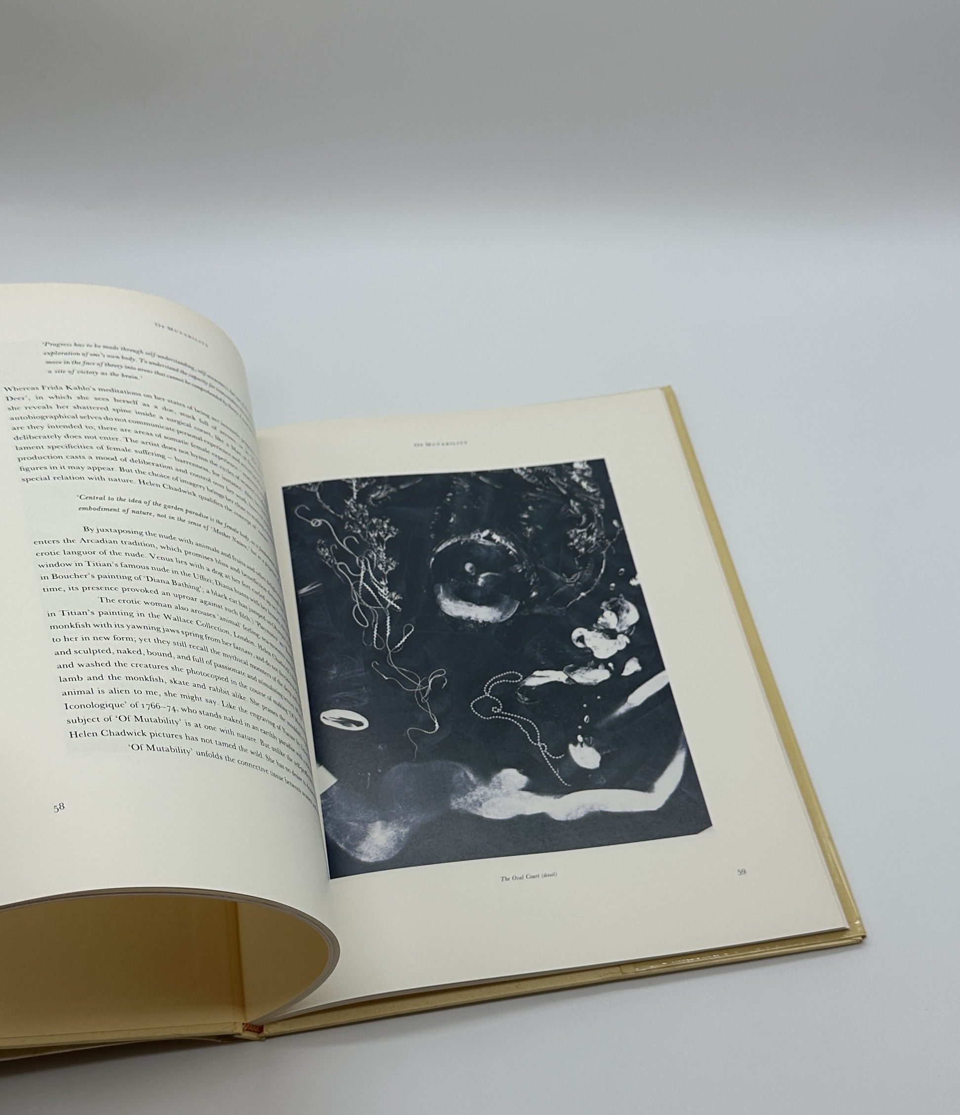 ENFLESHINGS - 画像 (4)