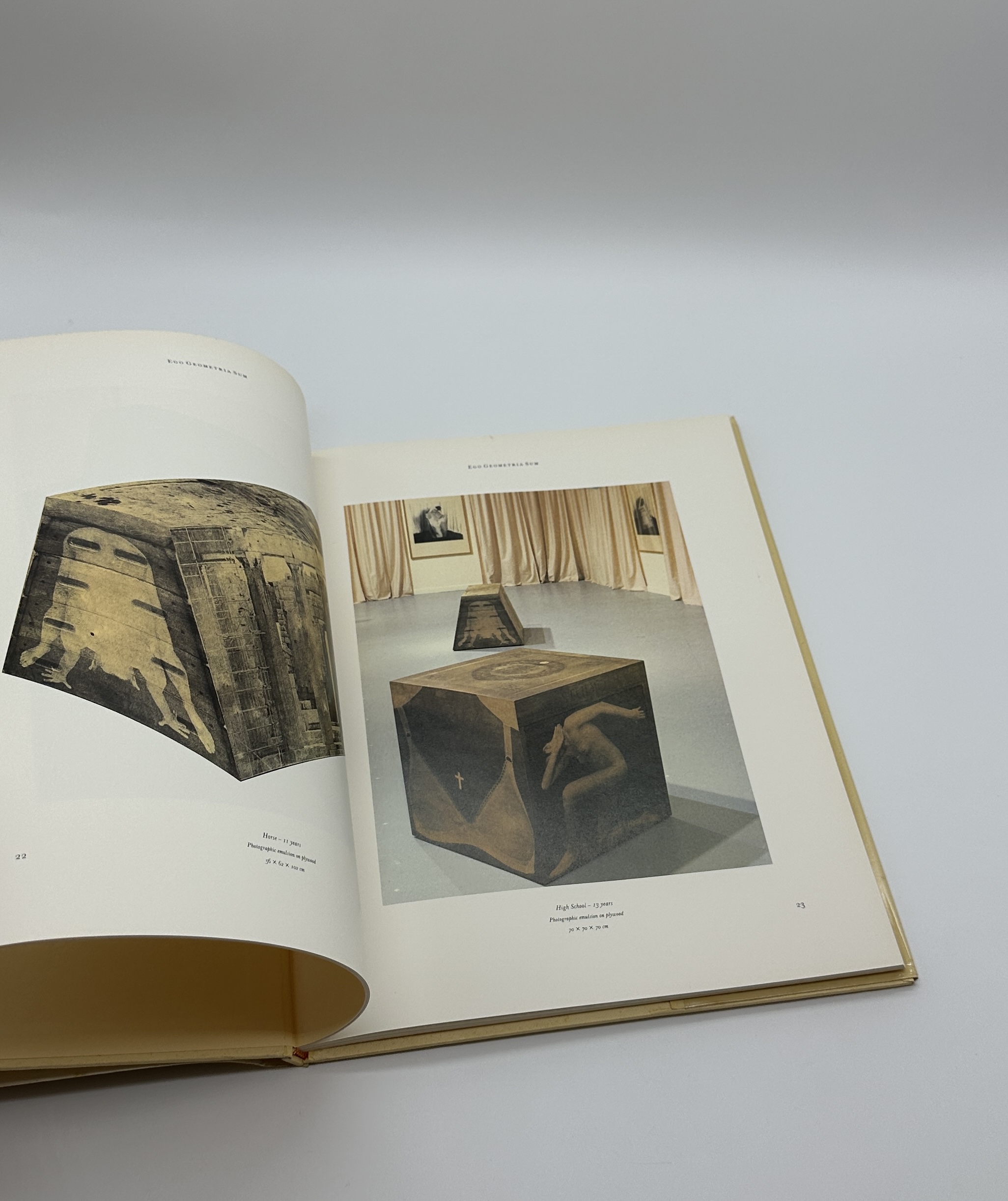 ENFLESHINGS - 画像 (2)