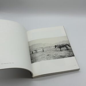 MOVING OUT - 画像 (5)