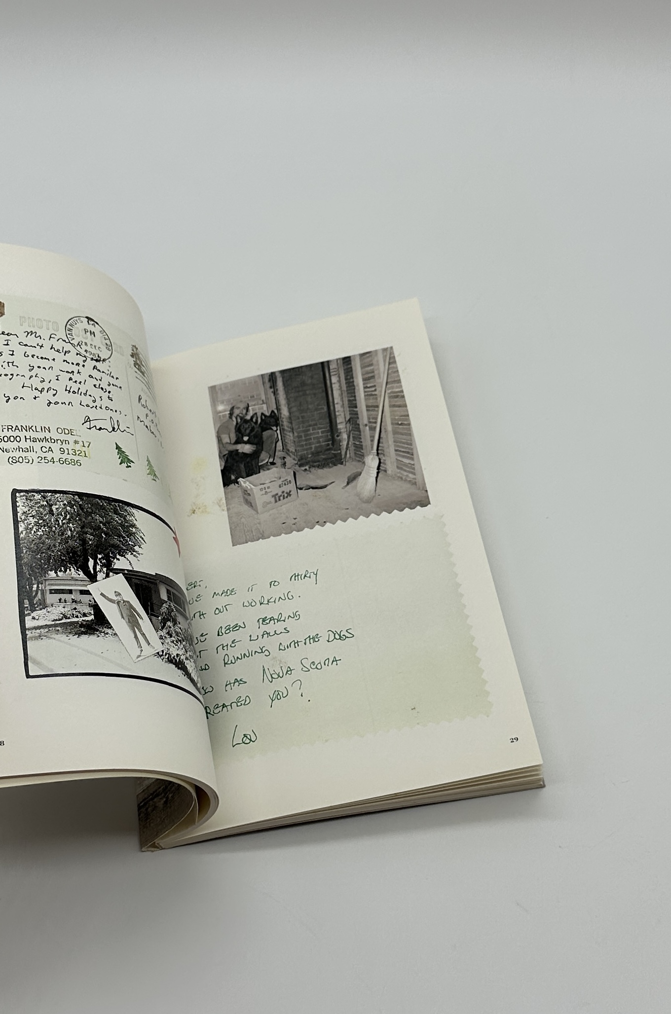 Thank You - 画像 (6)