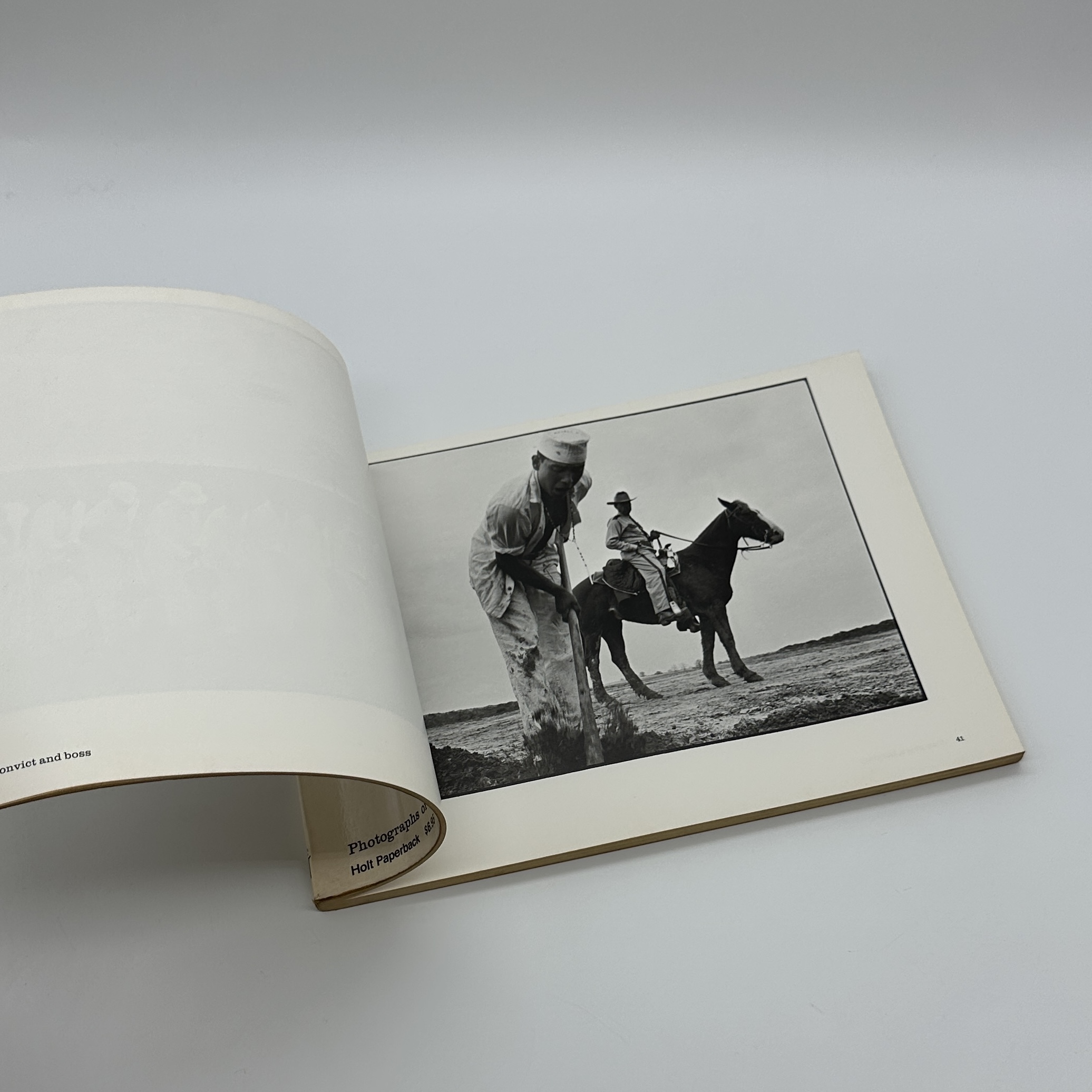 Conversations with the Dead - 画像 (2)