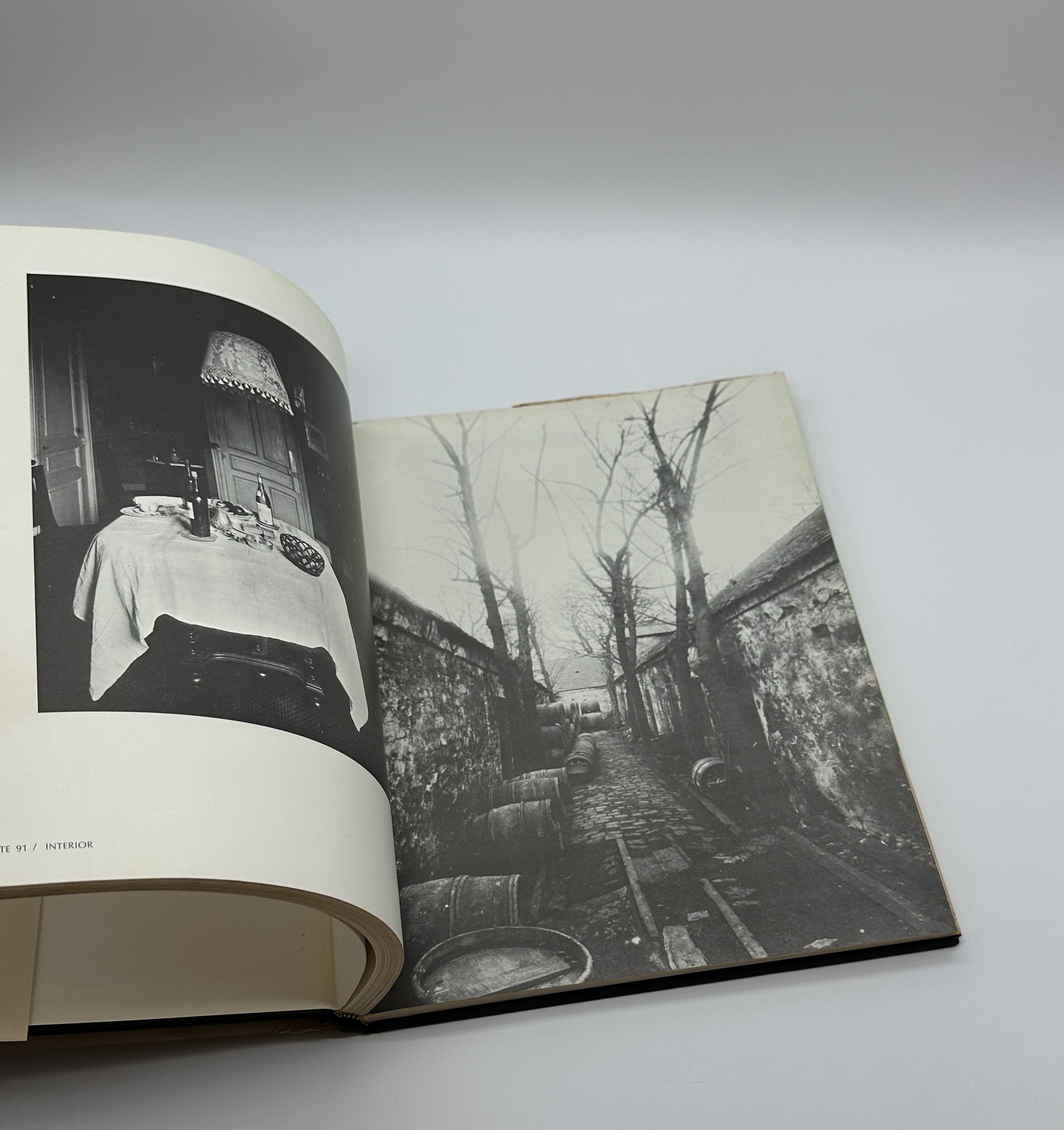 THE WORLD OF ATGET 176 PHOTOGRAPHS BY ATGET - 画像 (6)