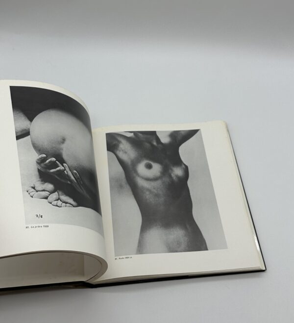 L'IMMAGINE FOTOGRAFICA