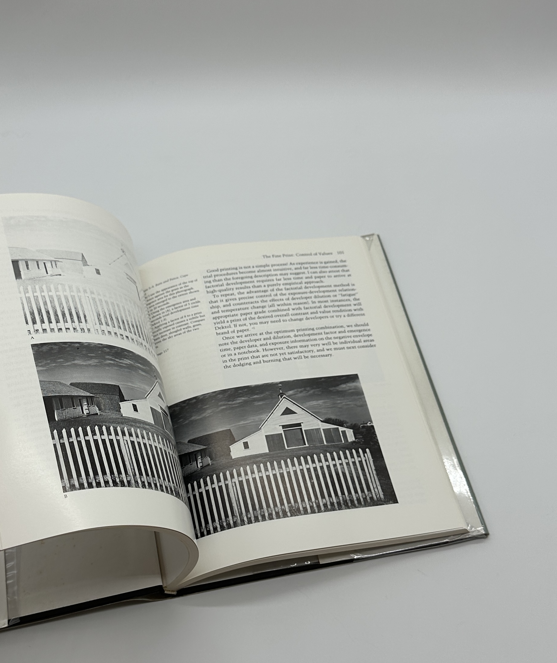 The Print - 画像 (5)