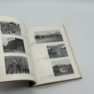 Photographs for the Farm Security Administration 1935-1938 - 画像 (6)