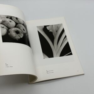 モホリ＝ナジとドイツ新興写真 - 画像 (6)