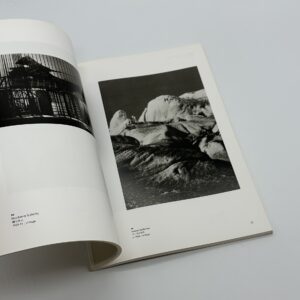 モホリ＝ナジとドイツ新興写真 - 画像 (5)