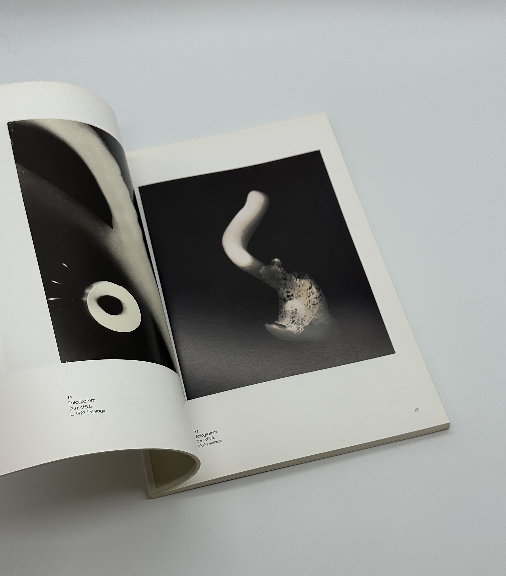 モホリ＝ナジとドイツ新興写真 - 画像 (3)