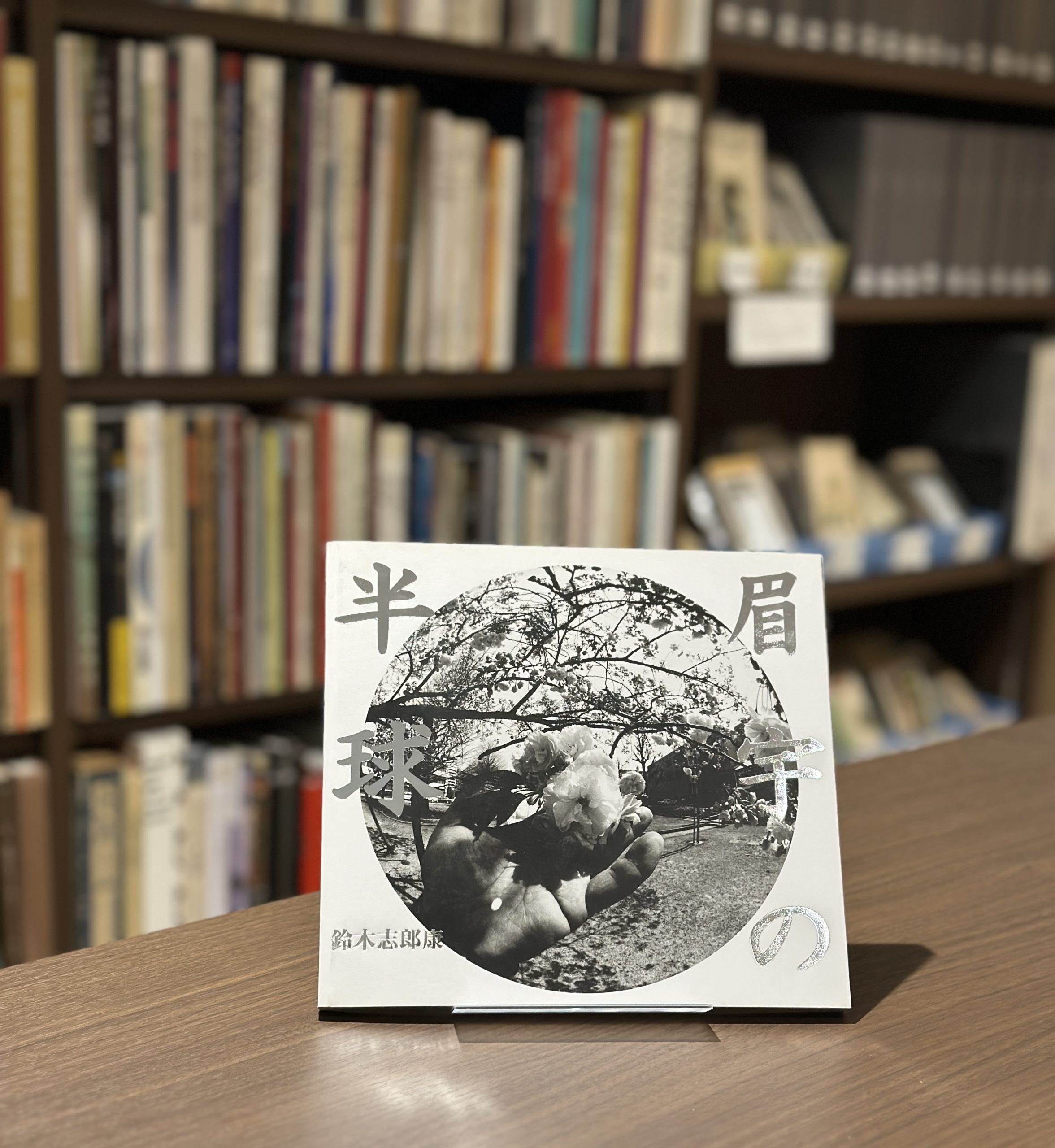 眉宇の半球 - 画像 (1)