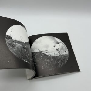 眉宇の半球 - 画像 (5)