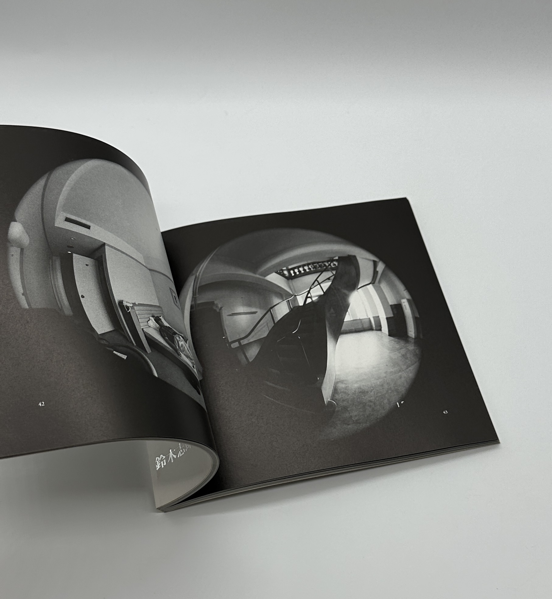 眉宇の半球 - 画像 (2)