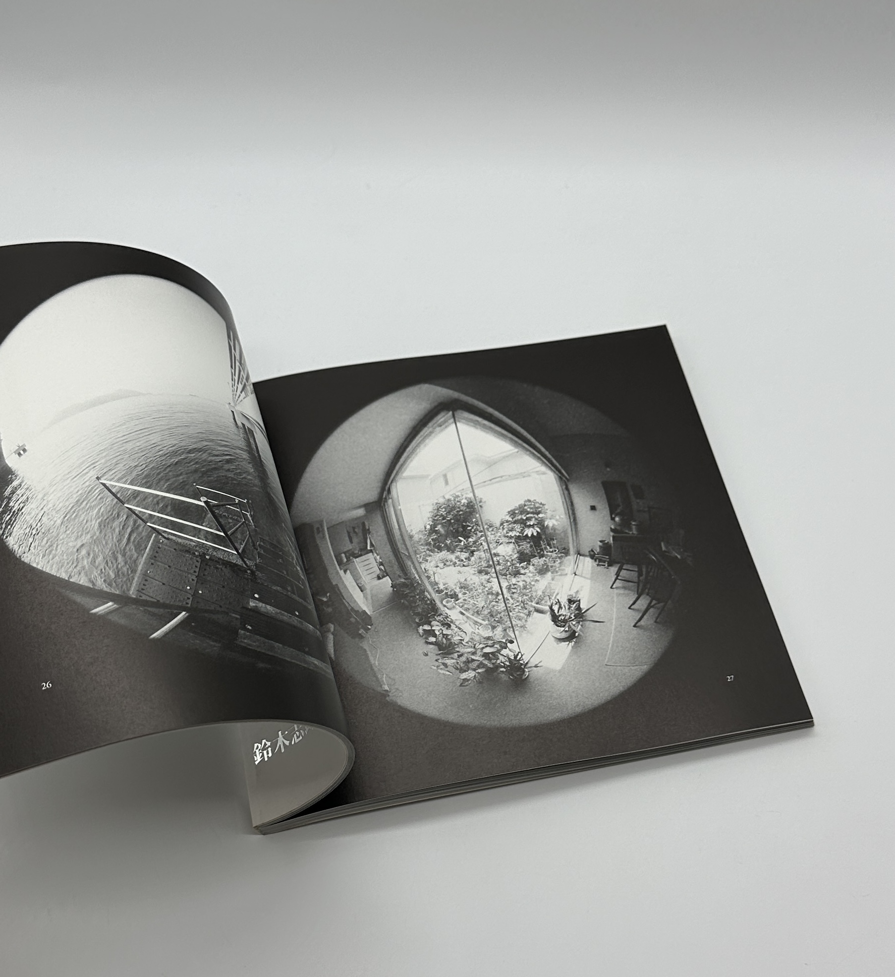 眉宇の半球 - 画像 (3)