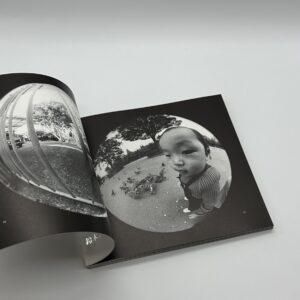 眉宇の半球 - 画像 (4)