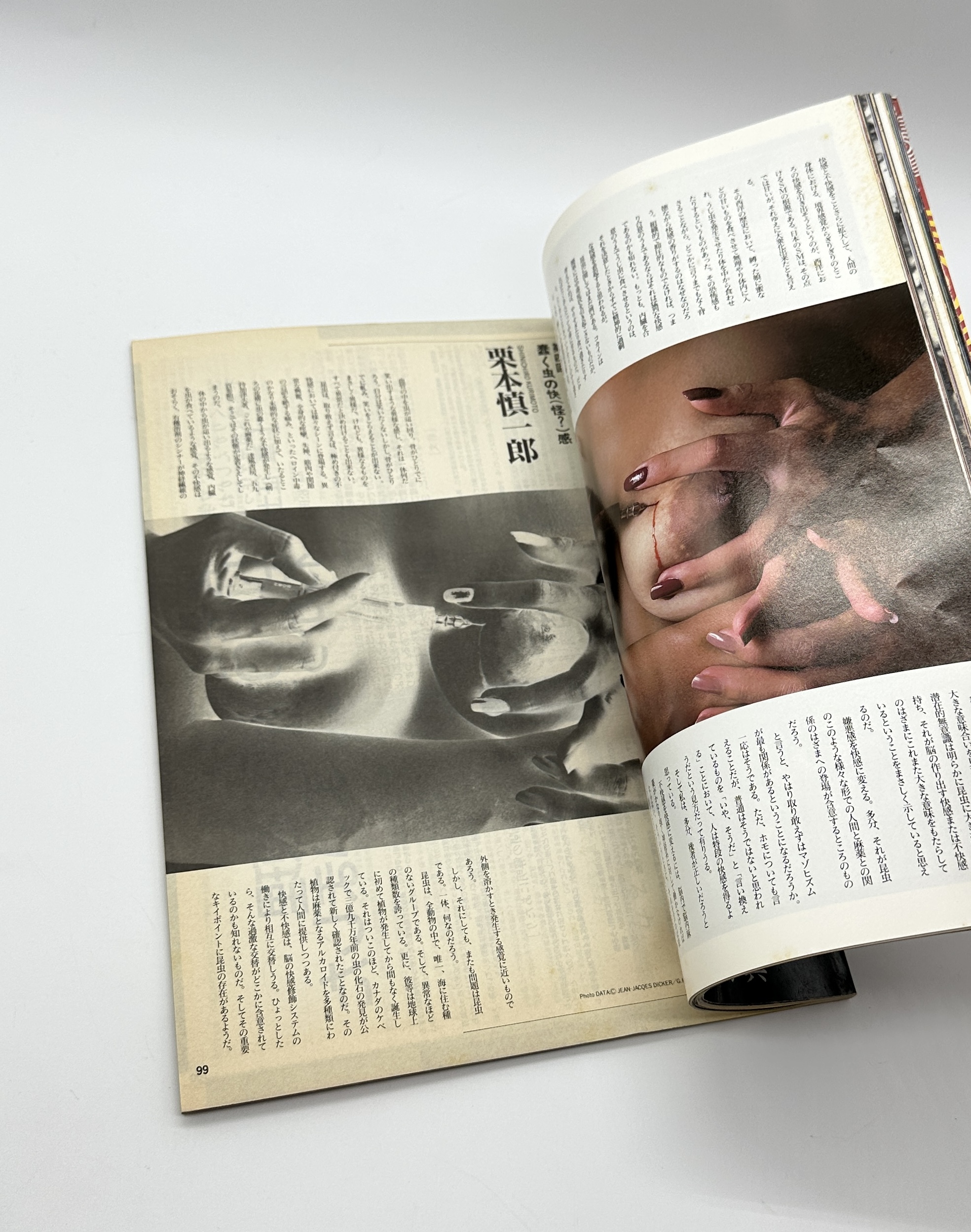 写真世界　1989年2月号 - 画像 (5)