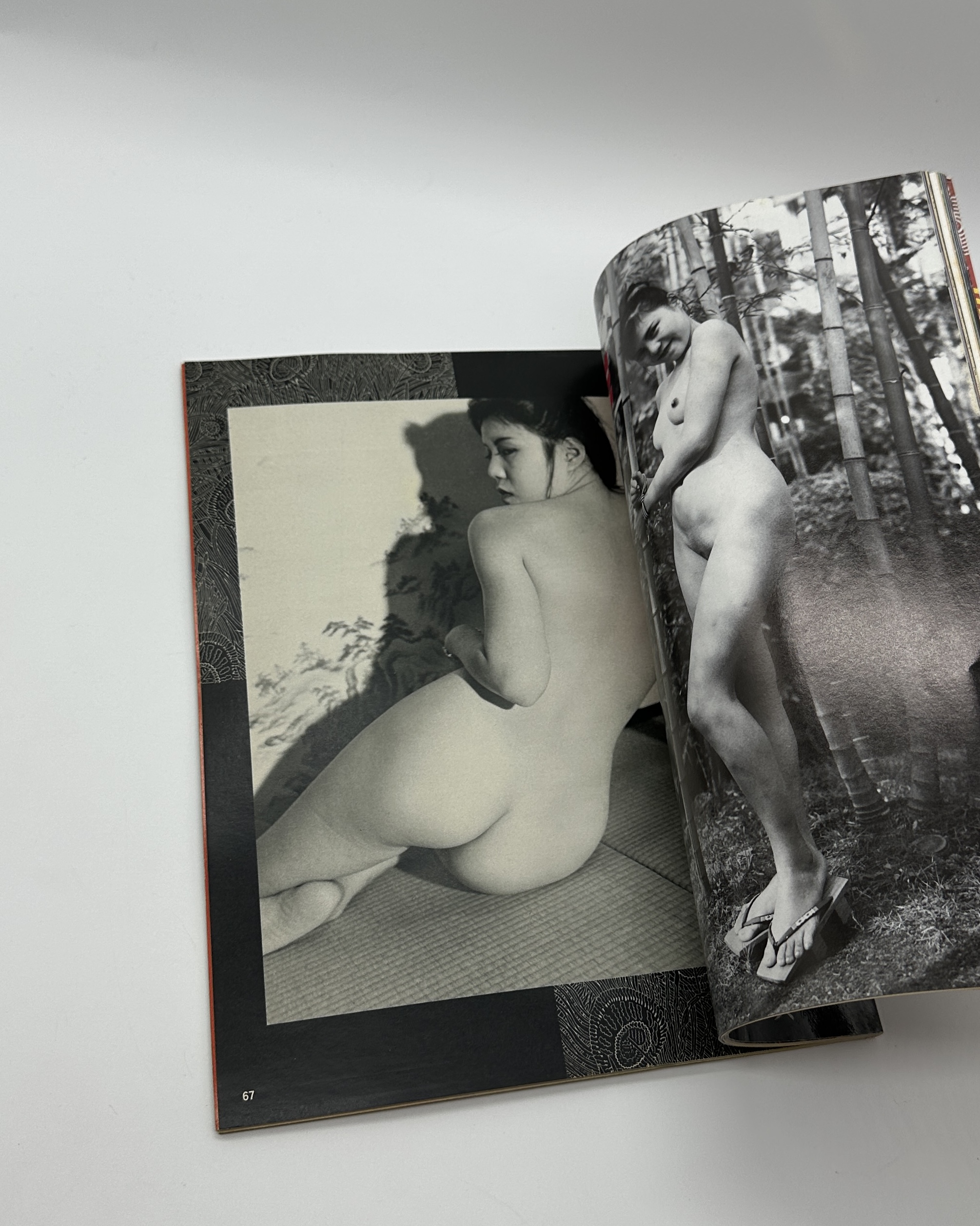 写真世界　1989年2月号 - 画像 (4)