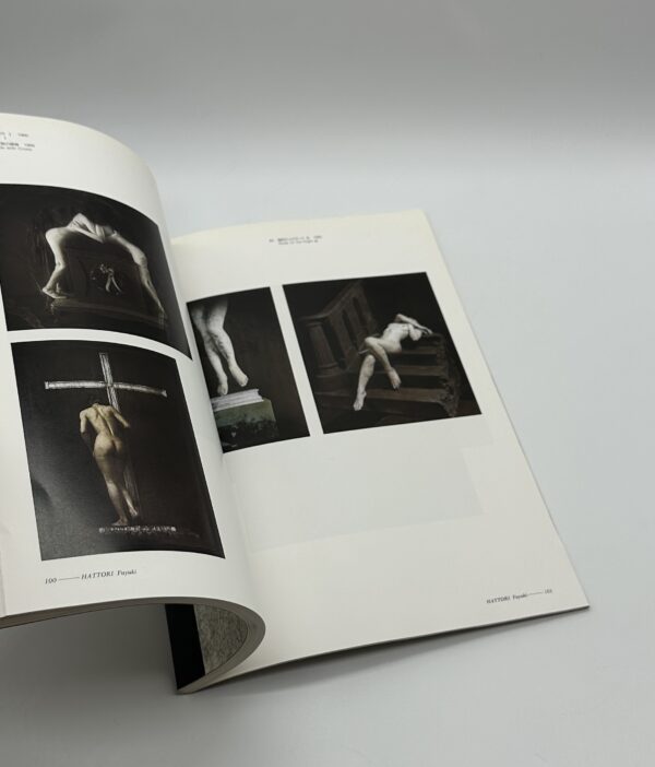 日本のコンテンポラリー　写真をめぐる12の指標