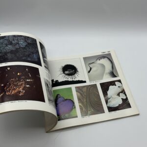 日本現代写真史展 - 画像 (4)