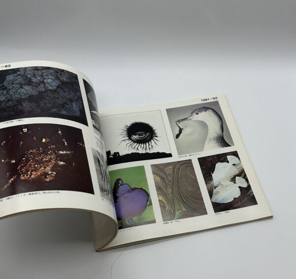 日本現代写真史展