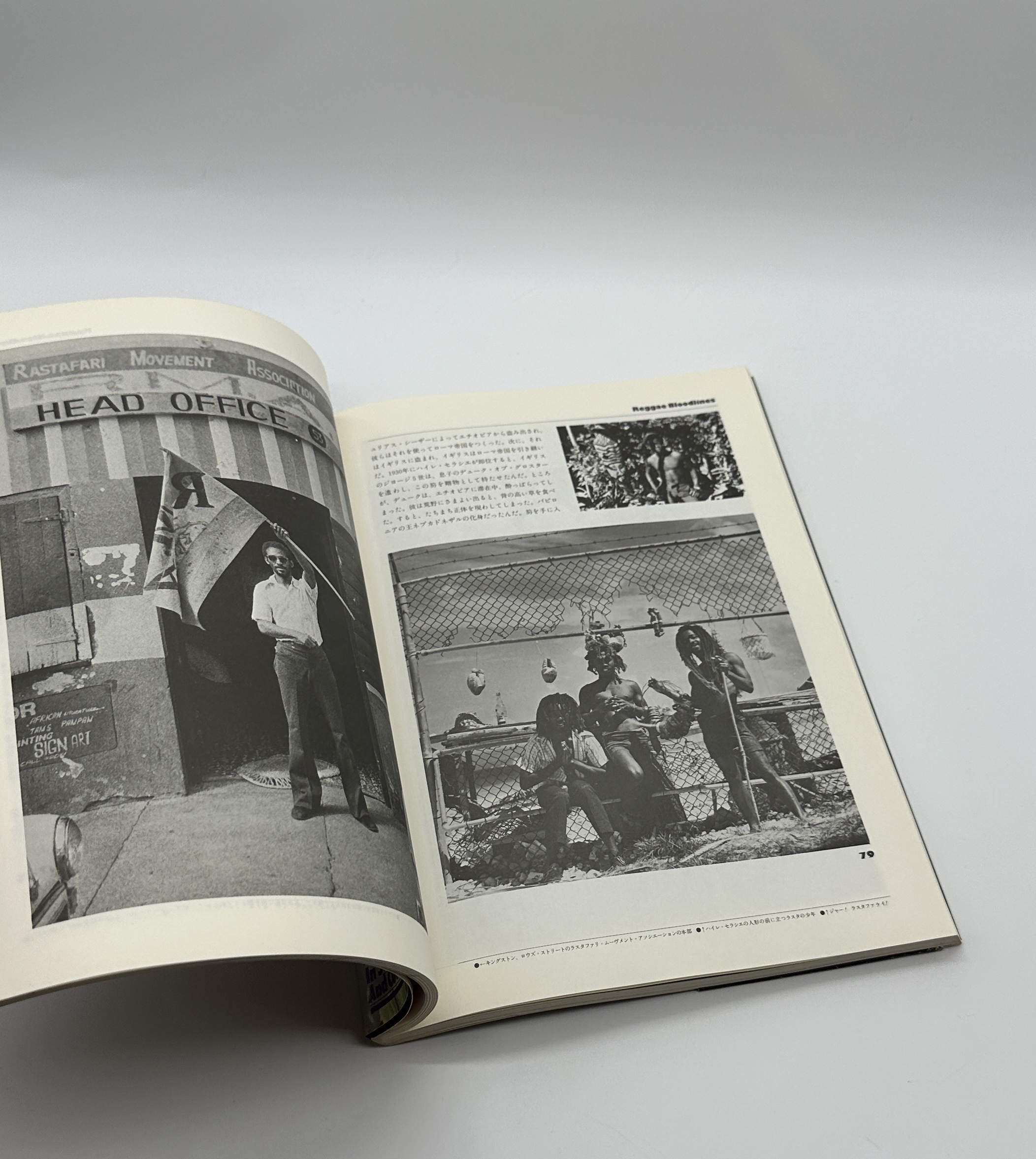 レゲエ・ブラッドライン - 画像 (2)