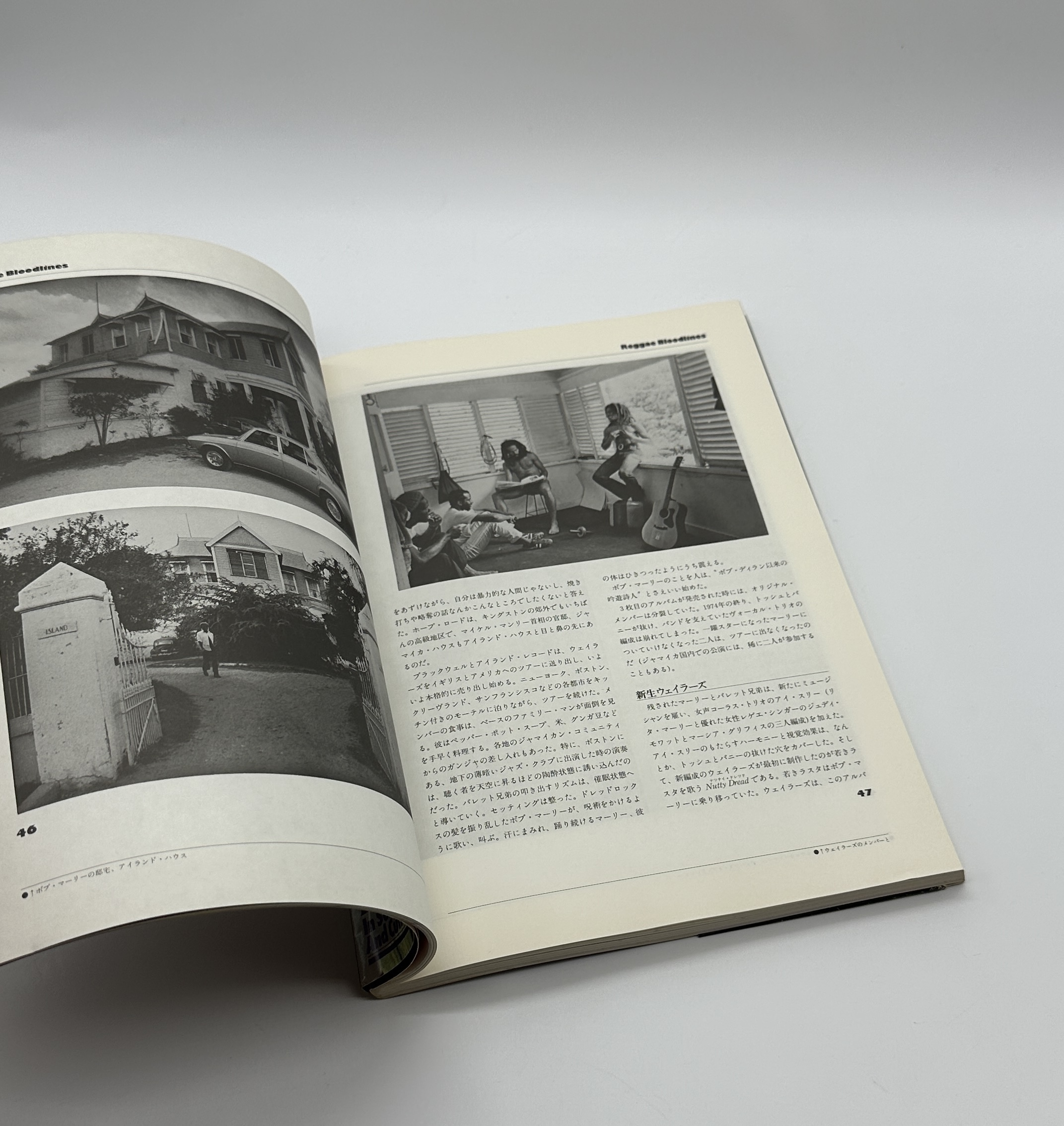 レゲエ・ブラッドライン - 画像 (5)