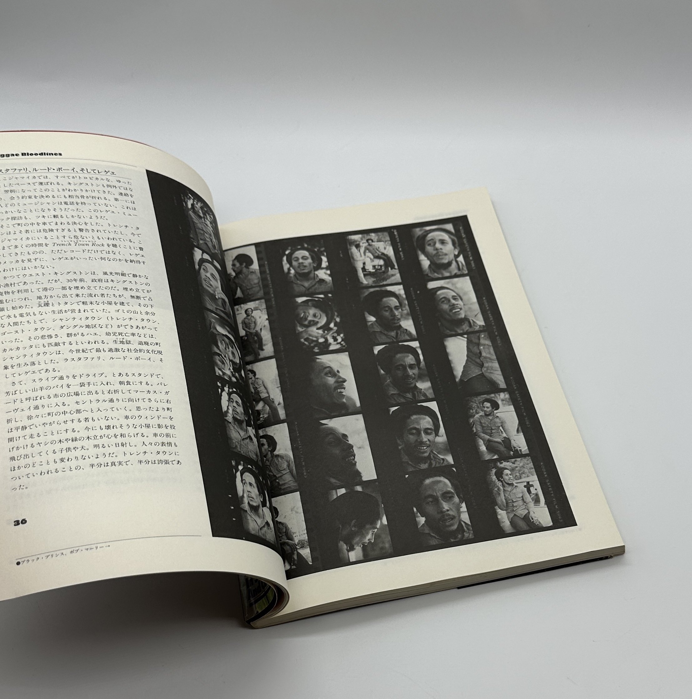 レゲエ・ブラッドライン - 画像 (4)