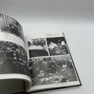 大琉球写真帖 - 画像 (6)