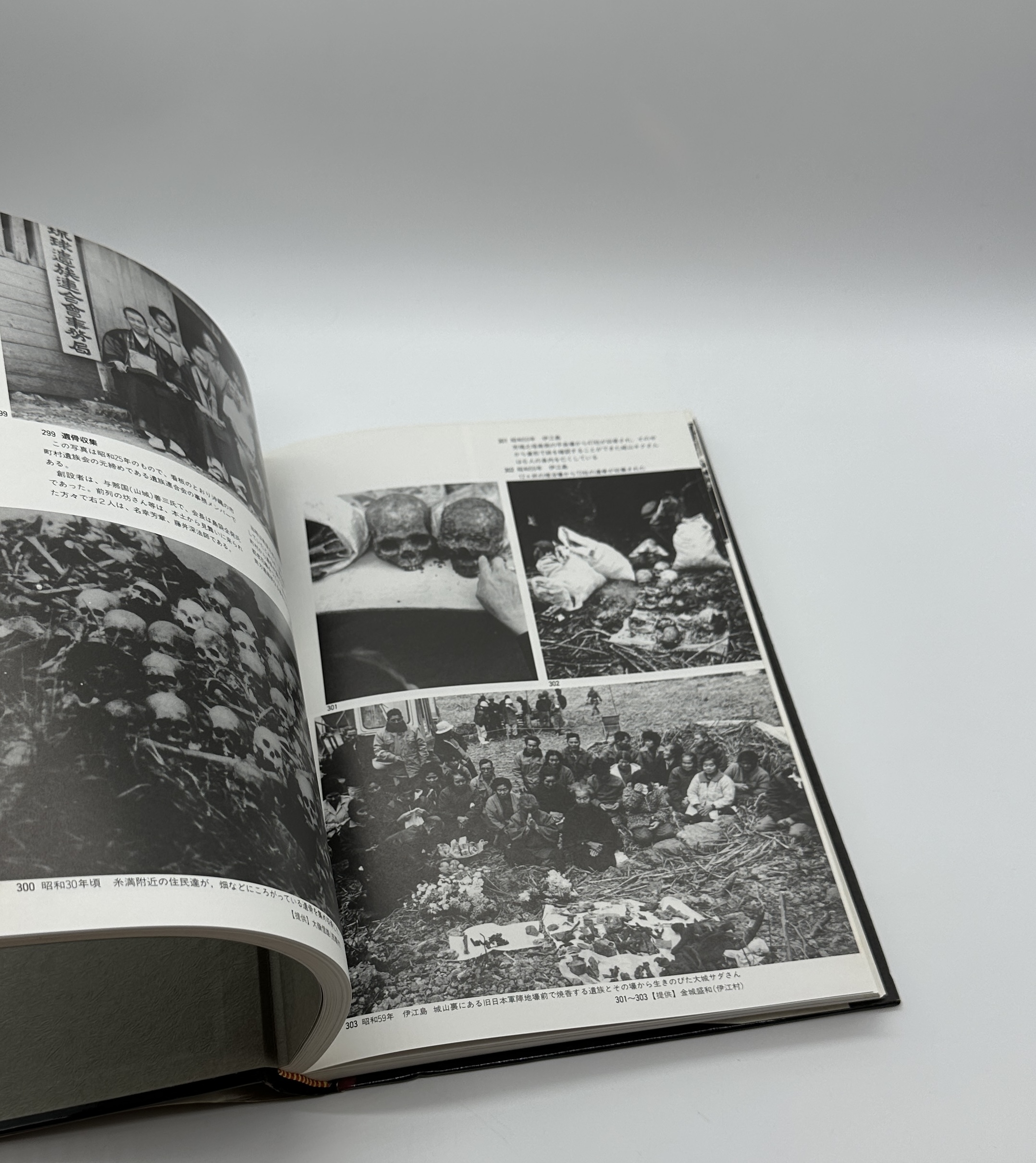 大琉球写真帖 - 画像 (6)