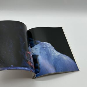 『署名入』市川猿之助歌舞伎の時空 - 画像 (6)