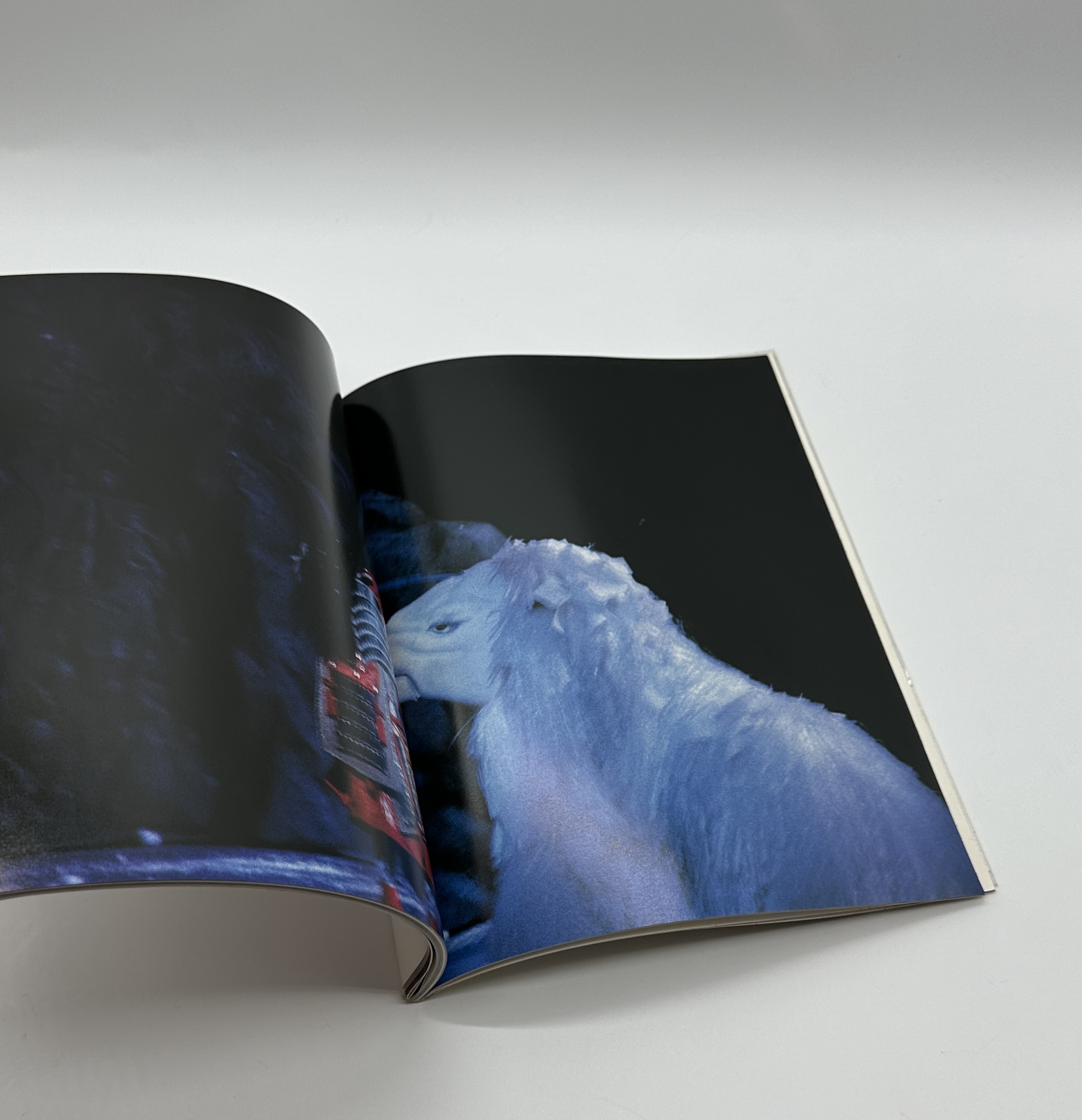 『署名入』市川猿之助歌舞伎の時空 - 画像 (6)