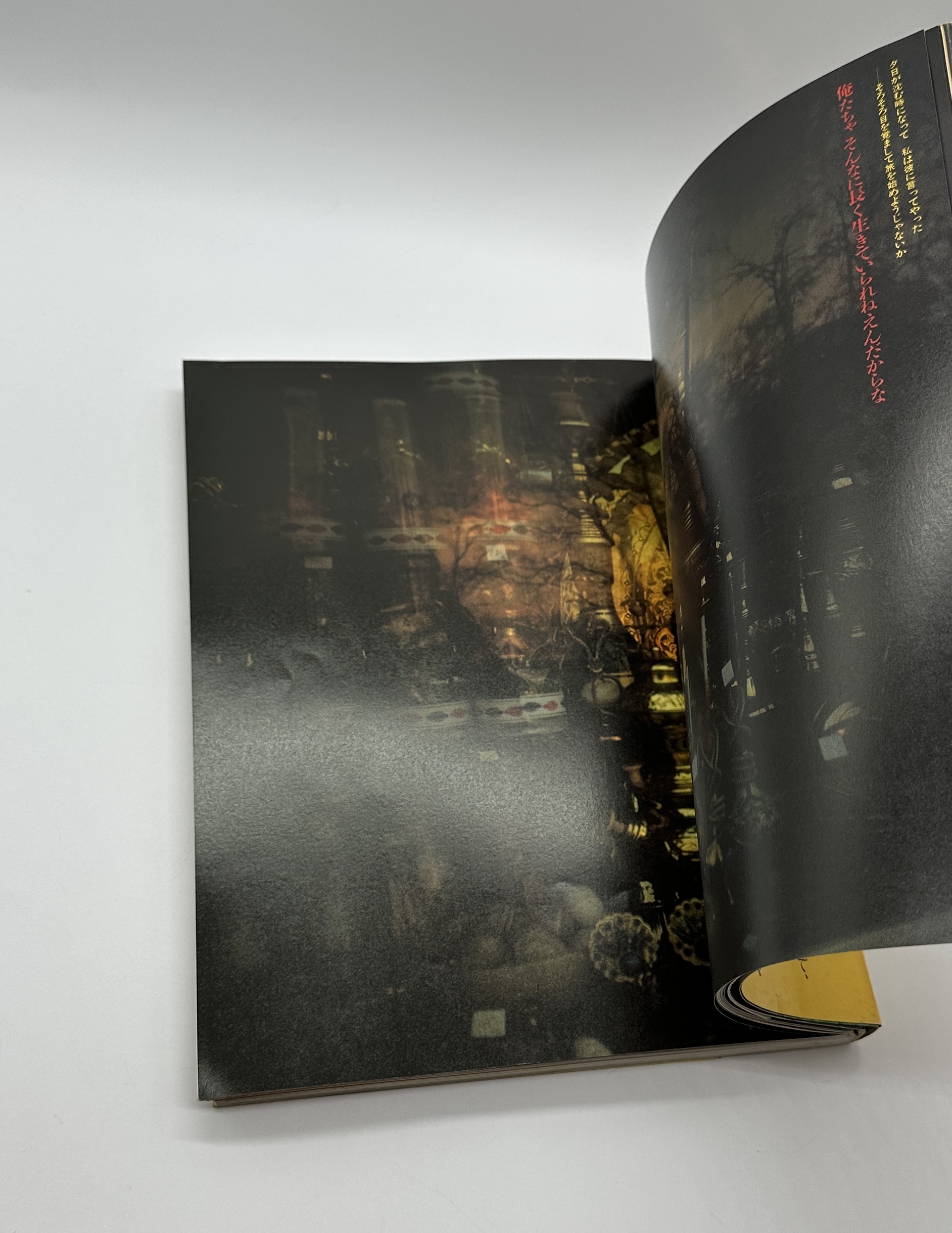 『署名入』全東洋街道 - 画像 (3)