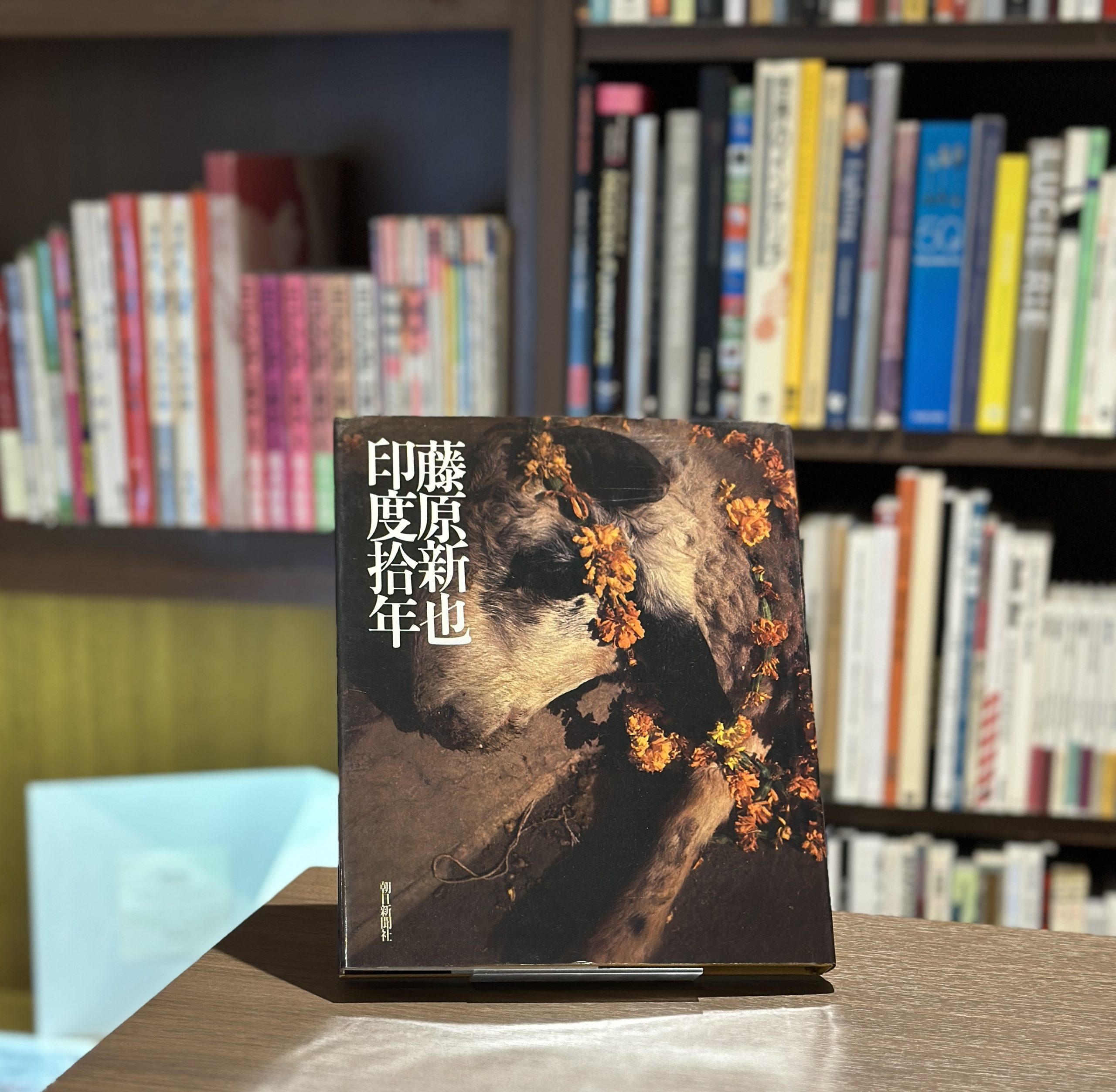 印度拾年 - 画像 (1)