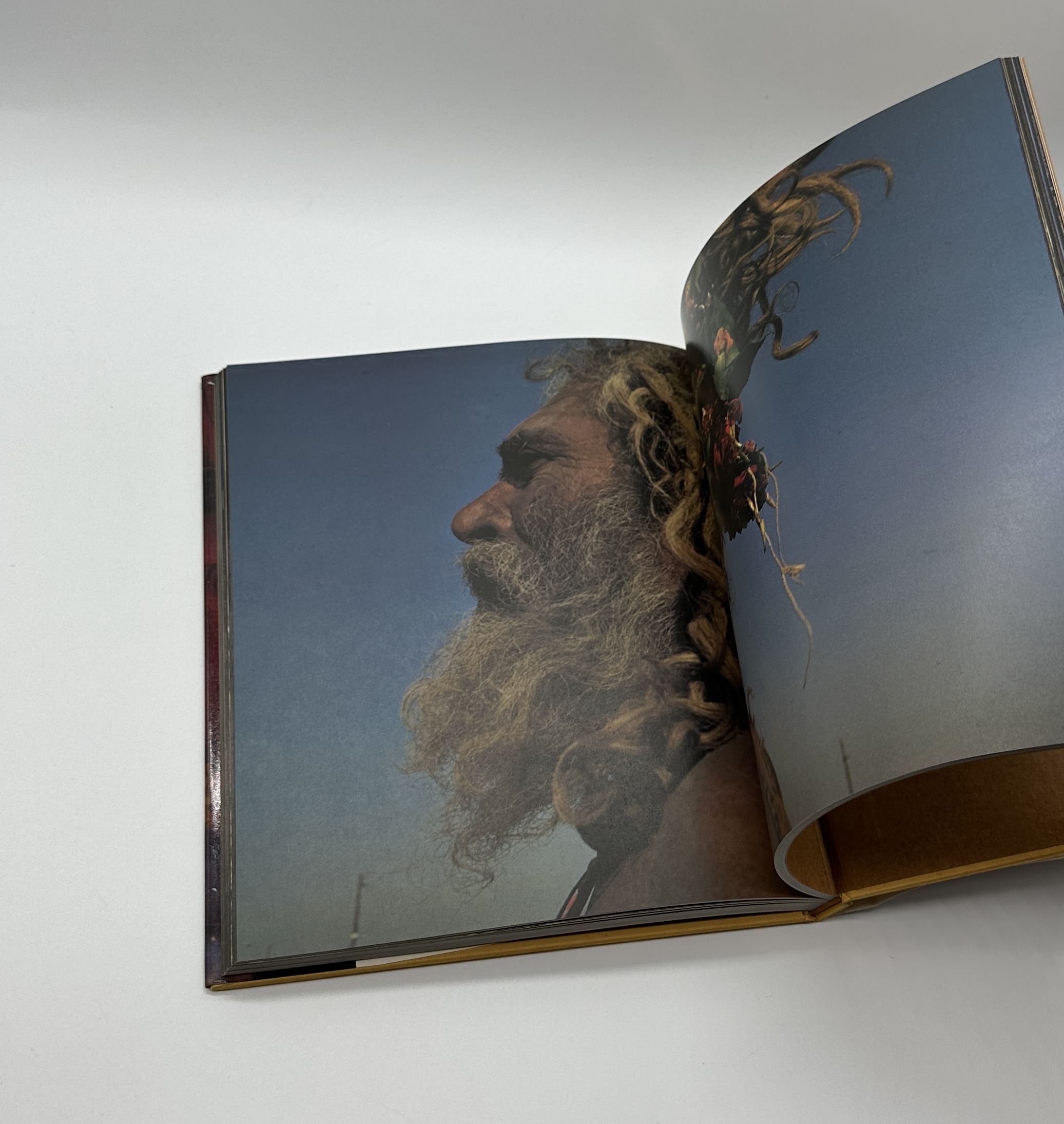 印度拾年 - 画像 (2)