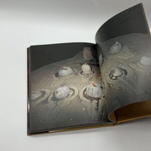 印度拾年 - 画像 (6)