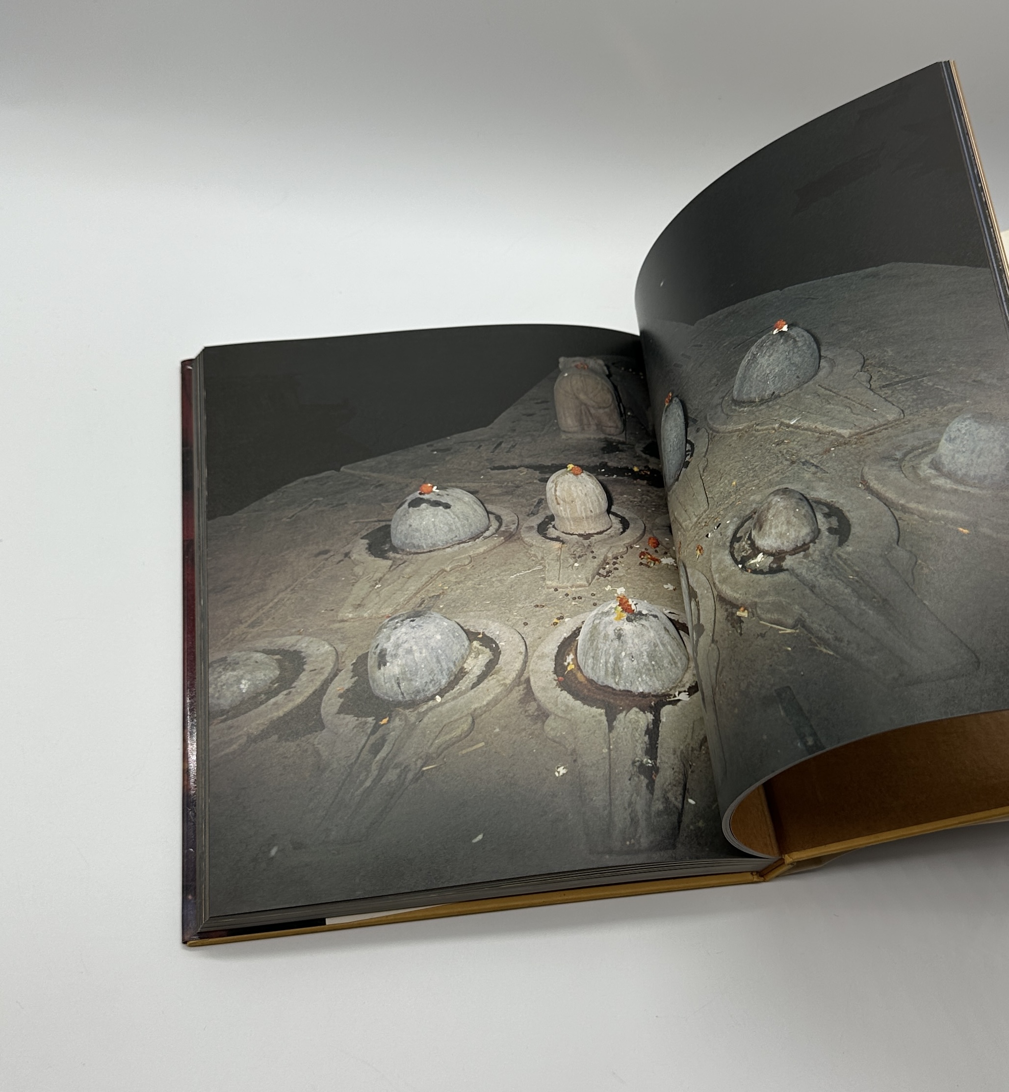 印度拾年 - 画像 (6)