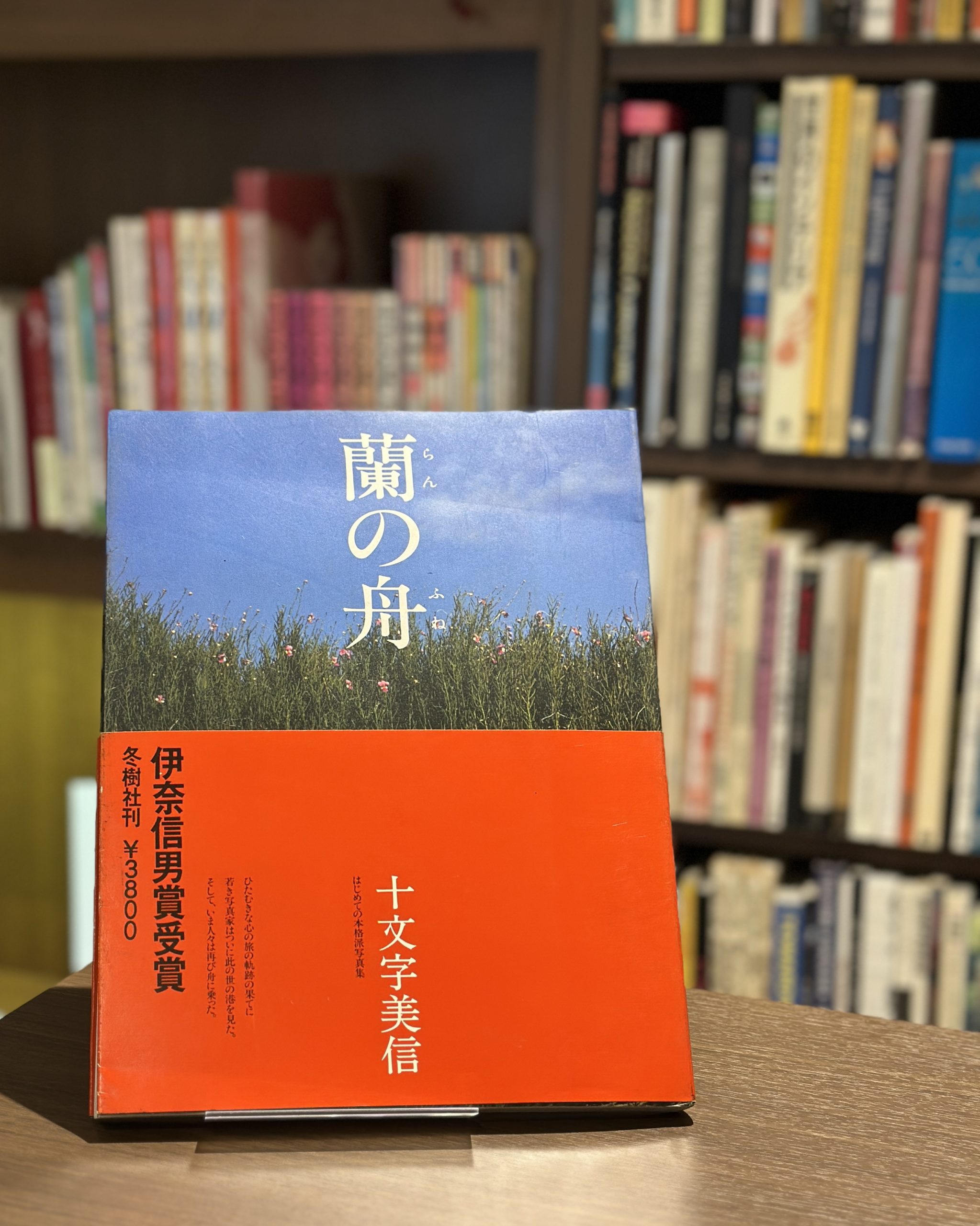 蘭の舟 - 画像 (1)