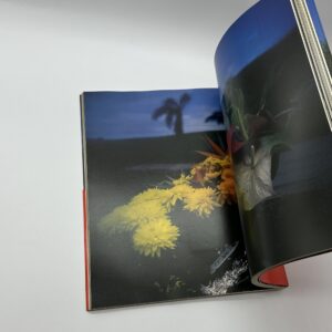 蘭の舟 - 画像 (6)