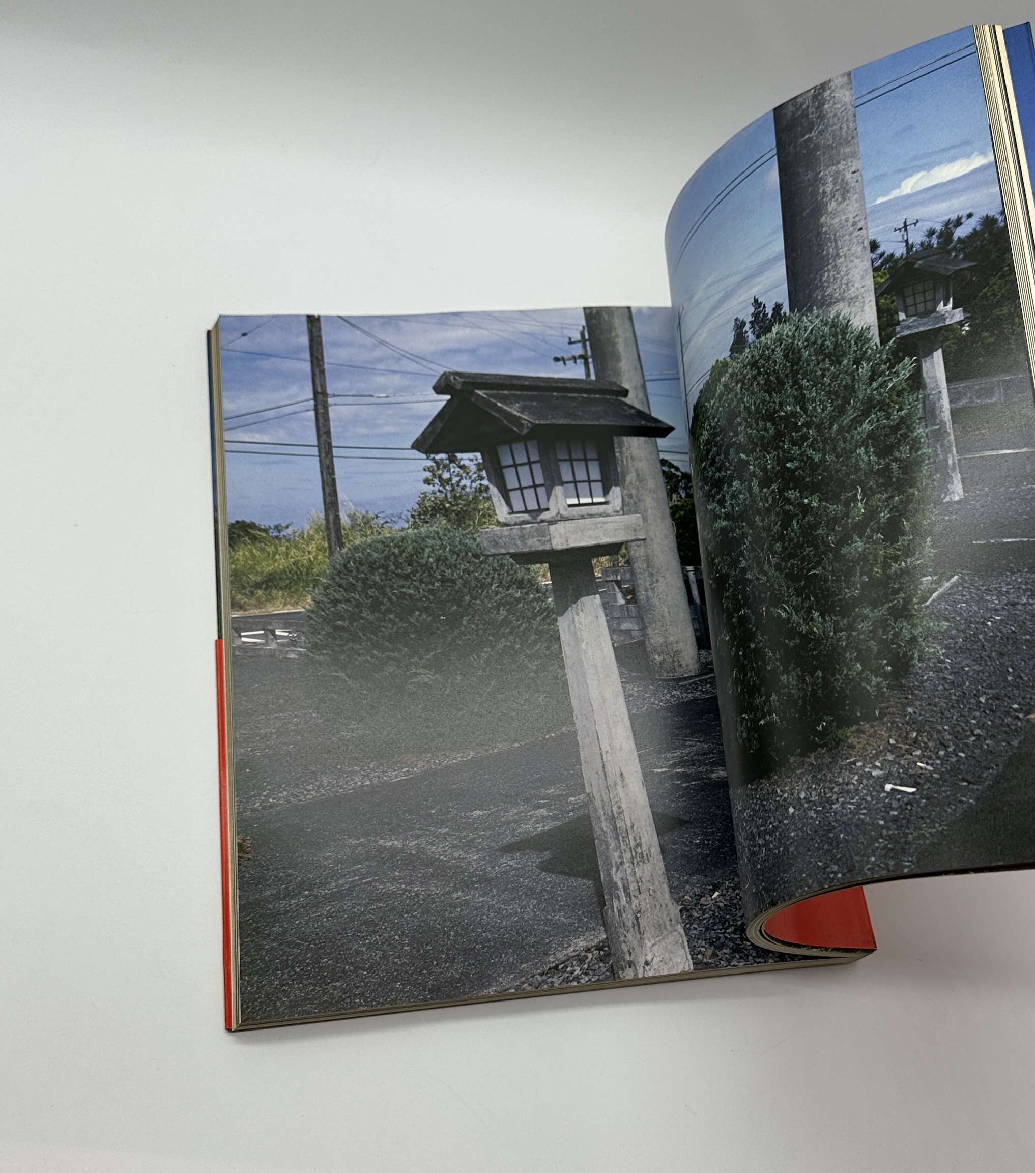 蘭の舟 - 画像 (5)