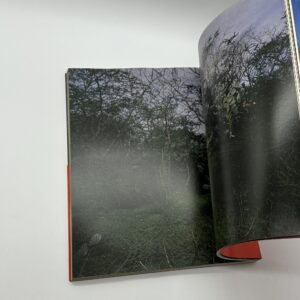 蘭の舟 - 画像 (4)