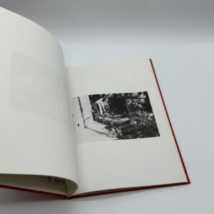 猫のいた場所 - 画像 (7)