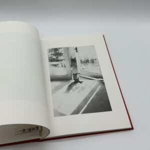 猫のいた場所 - 画像 (3)