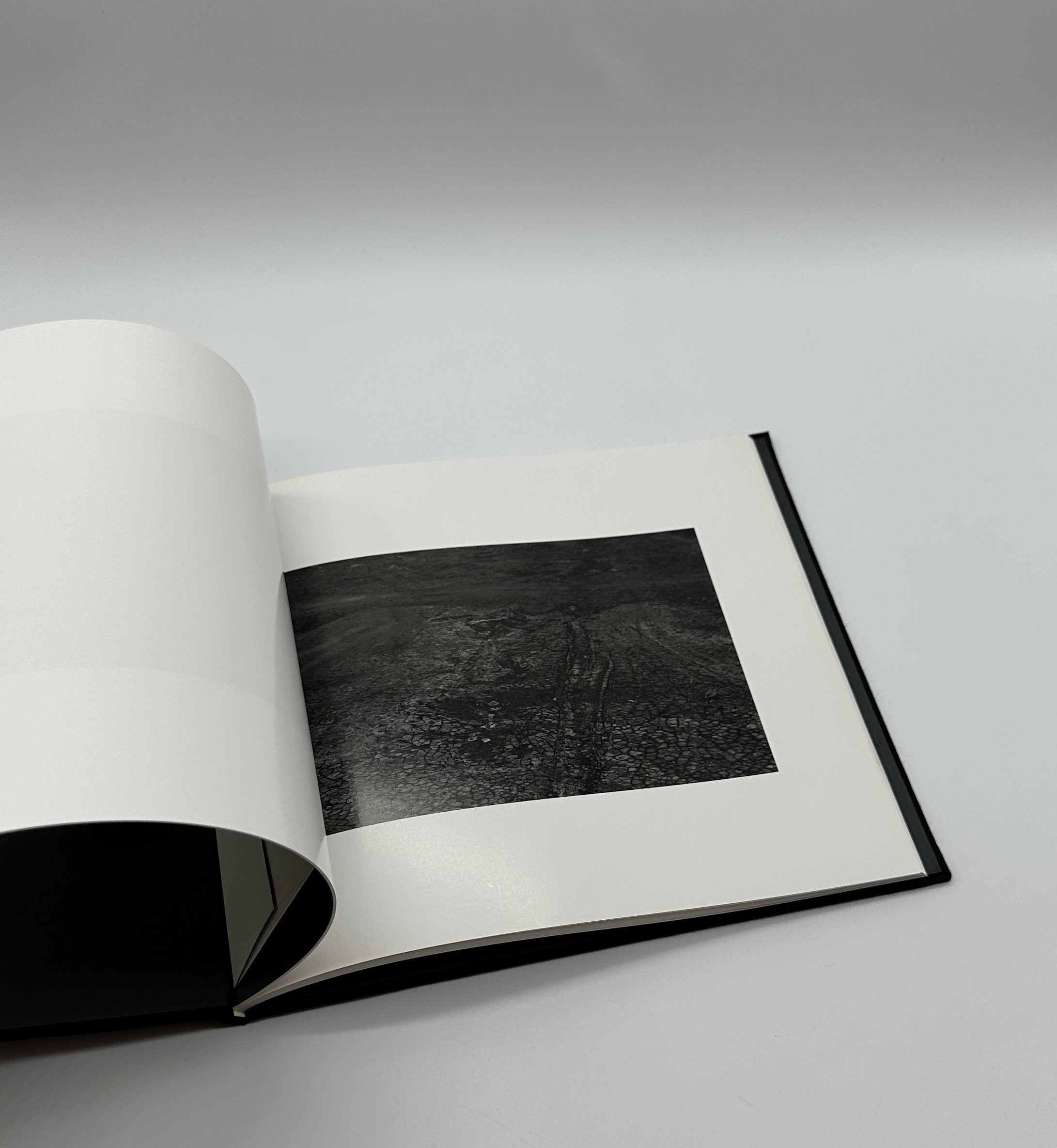 境界1 - 画像 (3)