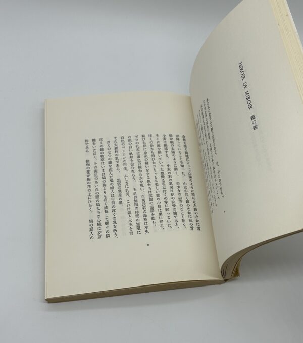 瀧口修造の詩的実験　1927-1937