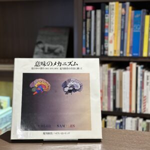 意味のメカニズム